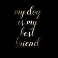 thumbnail image 3 of Matic,Jelena 12x12 Black Modern Framed Museum Art Print Titled - Best Friend Dog, 3 of 5