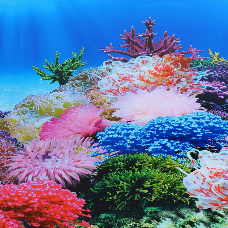 Background Aquarium Tank Fish 10 Gallon Sticker Wallpaper 3D