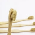 thumbnail image 1 of Gaia Guy Natural Bristle Bamboo Toothbrush With Boar Bristles - Totally Biodegradable And Compostable - No Nylon Toothbrushes - Zero Waste 12-Pack, 1 of 8