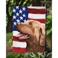 thumbnail image 3 of Carolines Treasures CK6486GF Chesapeake Bay Retriever American Garden Size Outdoor-Flags, Multicolor, 3 of 3