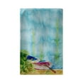 thumbnail image 1 of Betsy Drake BT809 Serviette de Plage Aquarelle 30 x 50 Po., 1 of 1