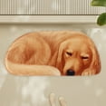 thumbnail image 6 of PureCasa Cute Dog Polyester Shower Bath Rug for Home Bathroom Toilet, Non-Slip Household Water Absorbent Quick Drying Floor Mats for Entrance Bedroom, Modern Home Decor, 1PC, 16"x34", B, 6 of 6