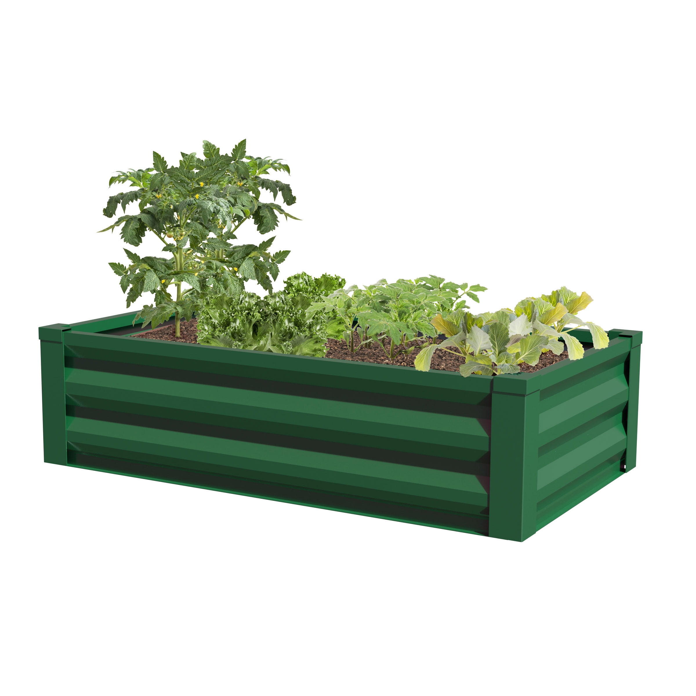Panacea - Walmart.com