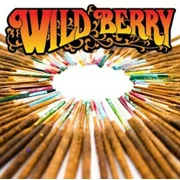 Wildberry Incense 11 Simmering Cider Incense 100 Stick Pack, Jar Not Included