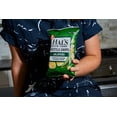 Hal's New York Kettle Cooked Gluten Free Jalapeno Flavored Potato Chip