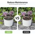 thumbnail image 5 of 2.5 Pound Black Lava Rocks for Plant, Succulent, Landscaping, Top-Dressing, Pure Volcanic Rocks, 1/5 Inch, 5 of 7