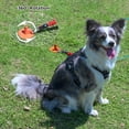 thumbnail image 4 of Estacas para perros Tyalez, resistentes, 160 kg, perros grandes de 17 cm, 4 of 6