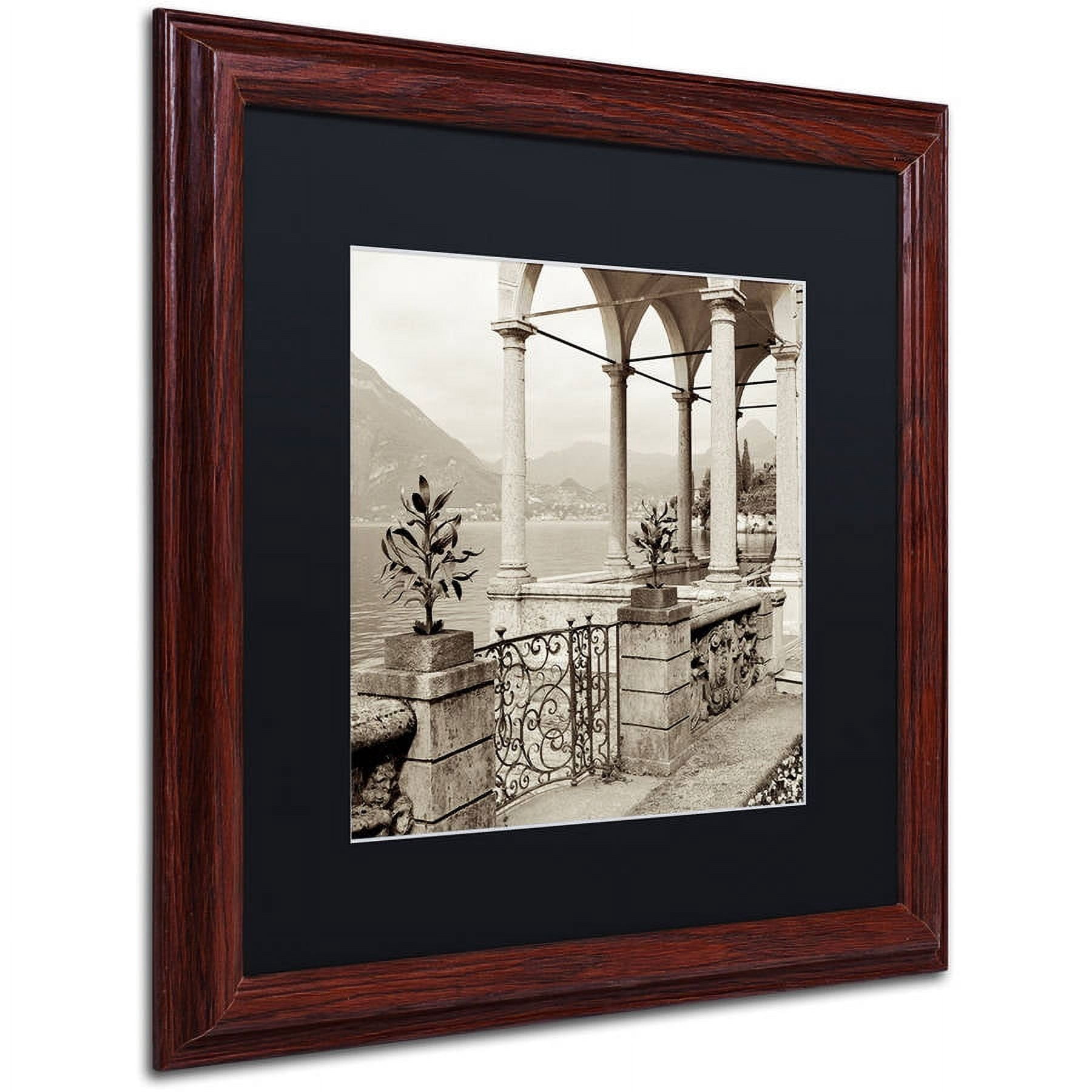 Trademark Fine Art "Lombardy VII" Canvas Art by Alan Blaustein, Black Matte, Wood Frame