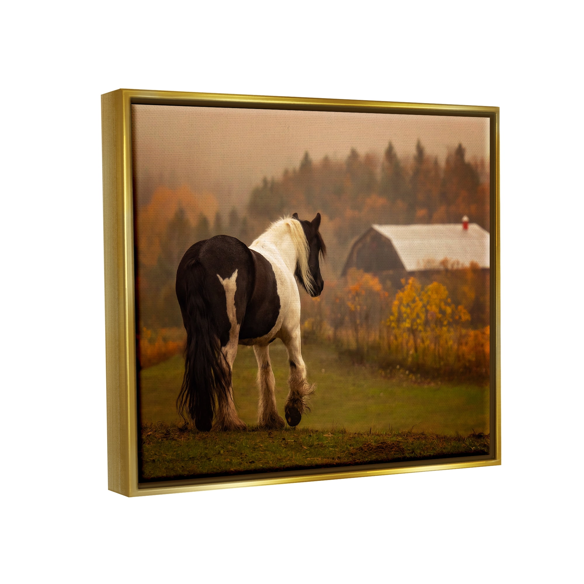 Stupell Industries Horse Overlooking Barn Landscape Photography Gold Floater Framed Canvas Art Print Wall Art, 31 x 25
