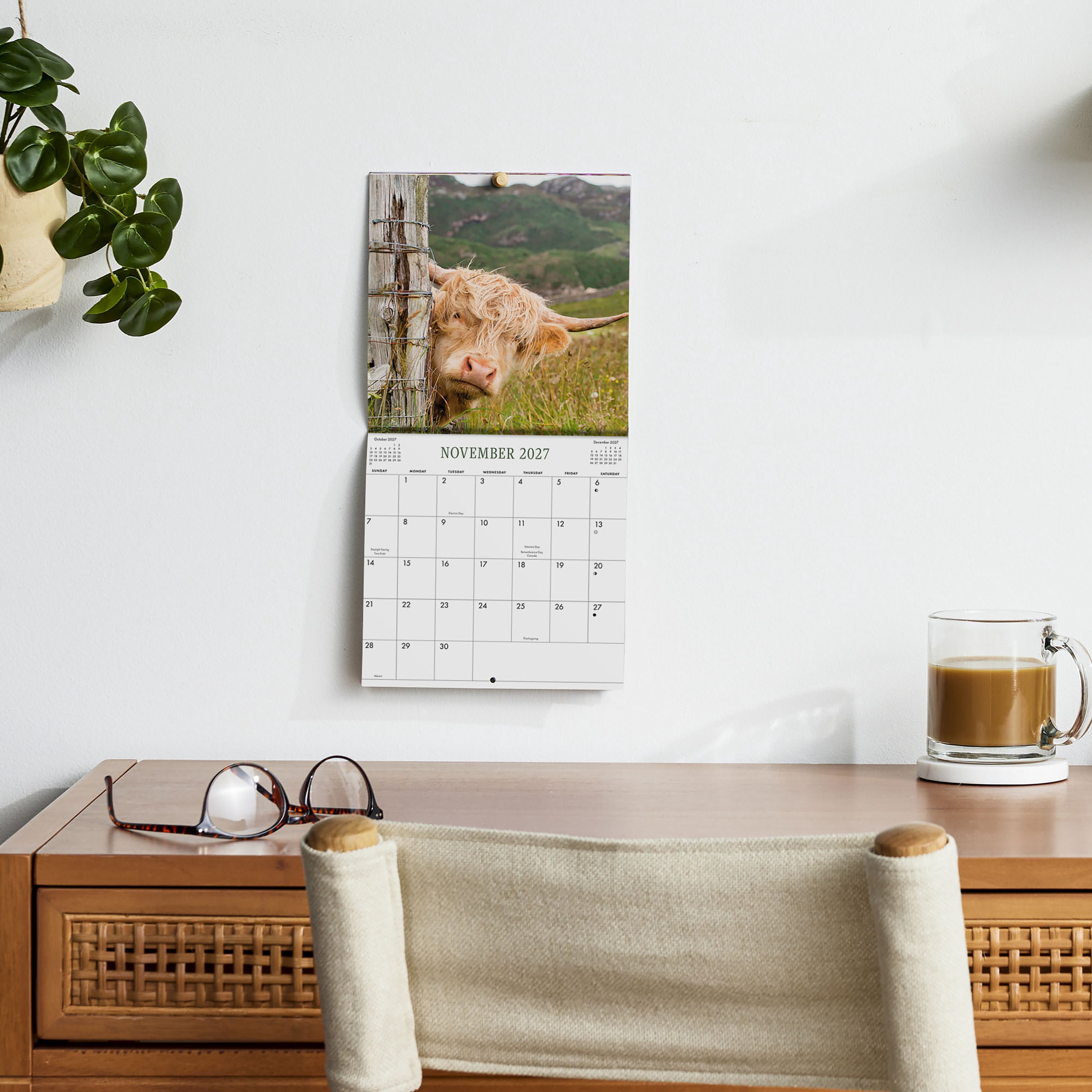 2027 Highland Cows Mini Hanging Wall Calendar 7x7 January-December Gridded