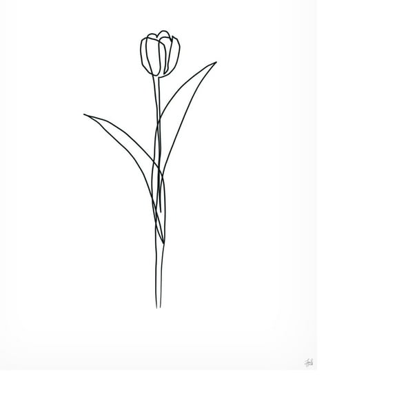 Canvas Wall Art - Line and Brush 'Line Tulips 3' Wall Art for Living Room, Bedroom, or Office Décor by Trademark Fine Art - 14 x 19 Inches