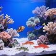 thumbnail image 4 of WHAMVOX 5Ud De Acuario Con Peces Falsos De Resina Compactos Para Ambiente Y Hogar, 4 of 6