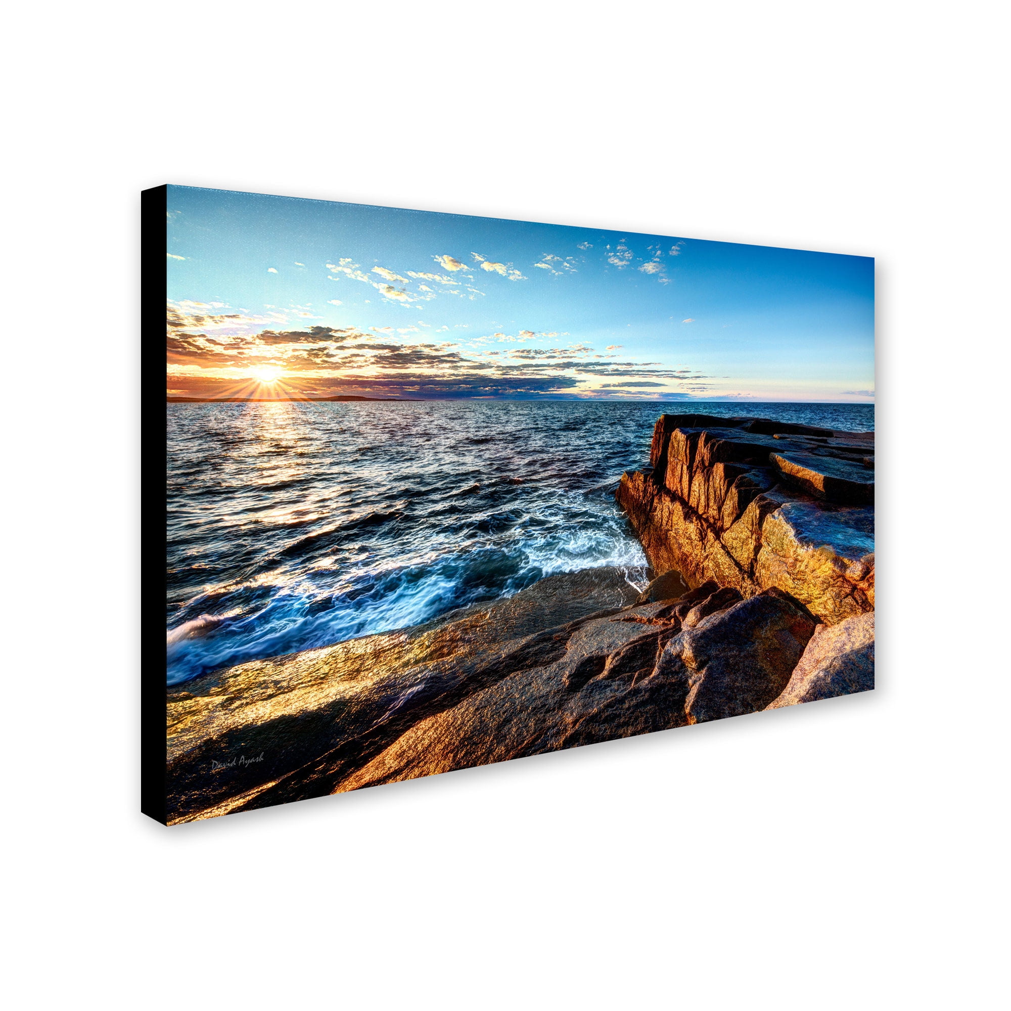 Trademark Fine Art "Sunrise Over the Atlantic in Maine" Canvas Art by David Ayash