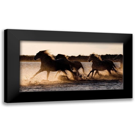 Walker, Carol 14x9 Black Modern Framed Museum Art Print Titled - Shore Run
