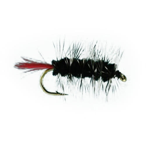 download black wooly worms download black wooly worms