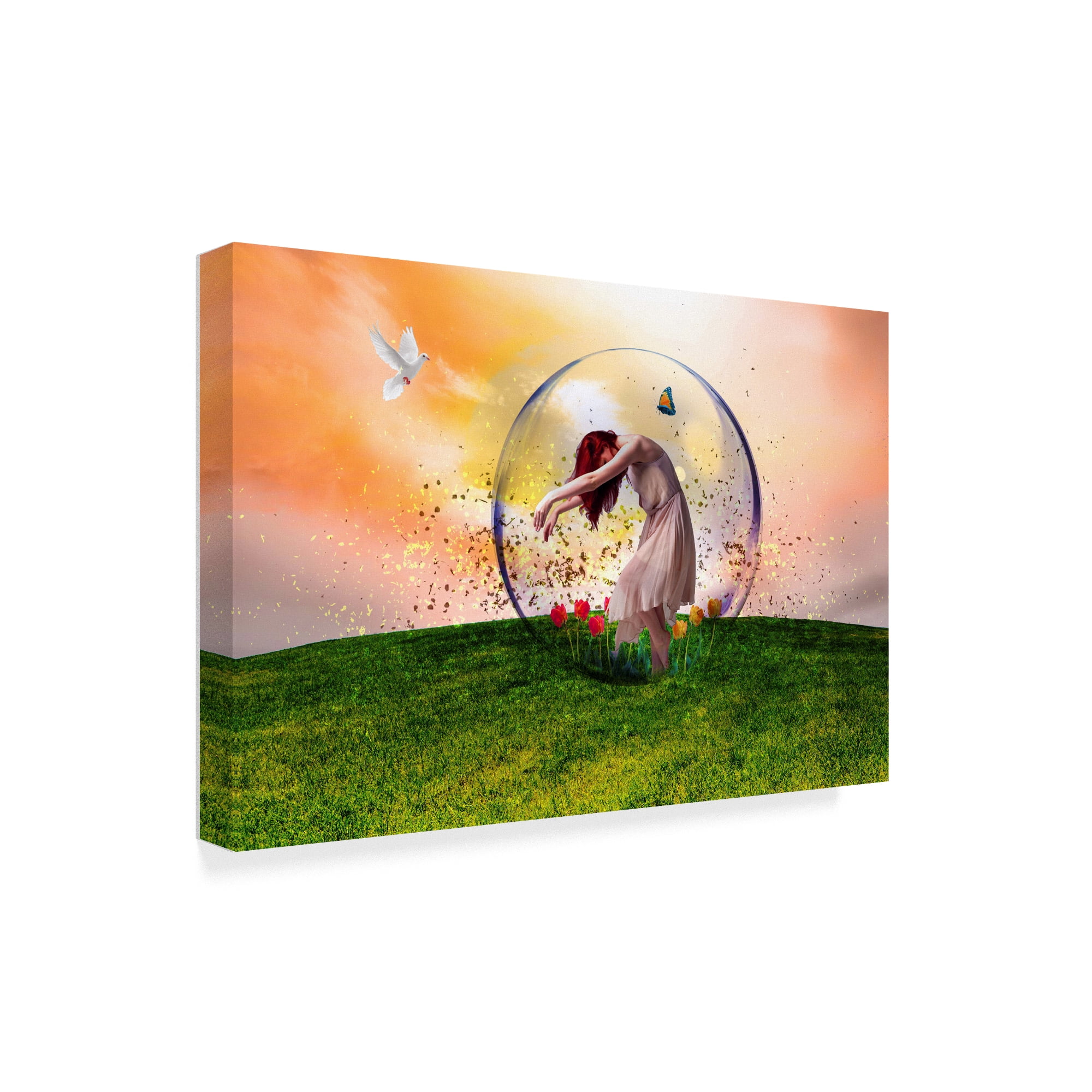 Trademark Fine Art 'In The Bubble' Canvas Art by Ata Alishahi