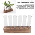 thumbnail image 4 of Plant Propagation Station, Glass Plant Terrarium with Wooden Stand for Home Decor, Mini Test Tube Display for African Violet , Easy to with Included Brush, 4 of 7