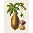 thumbnail image 2 of Unknown 15x18 Gold Ornate Wood Framed with Double Matting Museum Art Print Titled - Fruit of the Tropics VII, 2 of 4