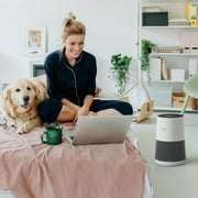 WINIX A231 Air Purifier for Bedroom Up to 1,180 Ft² in 1 Hr With Air Quality Monitor, True HEPA, Carbon Filter and Auto Mode, Captures Pet Allergies, Smoke, Dust