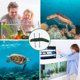 thumbnail image 3 of unbranded Household Floating Turtle Dock with Versatile Design for Reptile Rest and Tank Decoration, 3 of 6