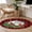 Red, variant on Rectangle Area Rugs 2 x 3 Ft, Christmas Cardinal Birds Non-Slip Residential Carpet, Xmas Holly Leaves Branch Red berries Indoor Crawling Mats Runner Rugs for Living Room/Dining Room/Bedroom
