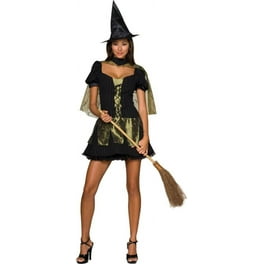 Wicked Witch Of The West Secret Wishes Womens Wicked Witch Of The West Secret Wishes Womens