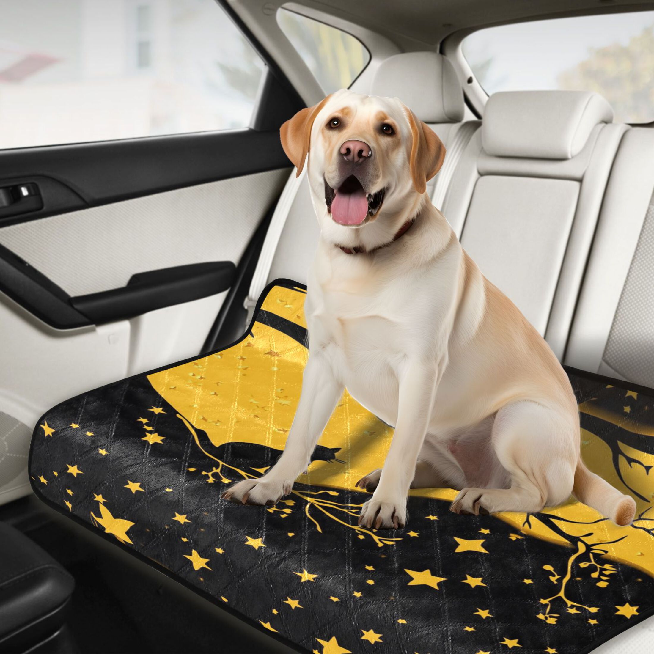 Washable Pet Pee Pads with Super Absorbent Reusable Training Pads for Dogs & Cats Starry Night Sky with Cat