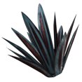 thumbnail image 2 of Inteprter 9 piezas de hojas de DIY planta de arte del hierro escultura decorativa estatua hoja favores de fiesta para jardín accesorios de estacas Decoración del hogar color del hielo marino Inteprter HA004436-04, 2 of 6