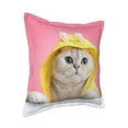 thumbnail image 2 of Bingfone Decorative Pillow Covers 18"X18" A Funny Cat Couch Pillow Cases Modern Farmhouse Covers For Couch Sofa Bed, 2 of 9
