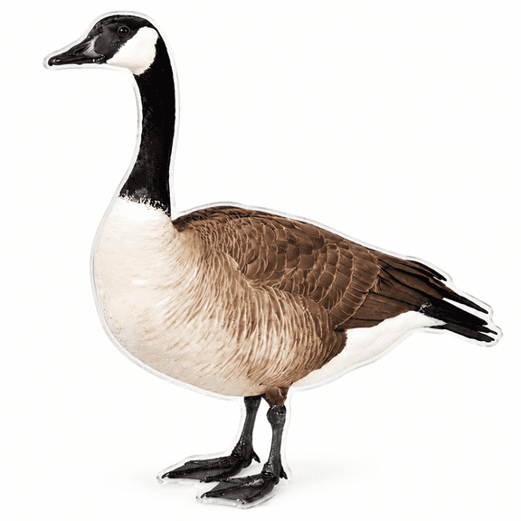 ARVELIA Garden Statues,2D Acrylic Canada Goose Sculpture Garden Decorations,Natural Pose Animal Statues Outdoor Statues