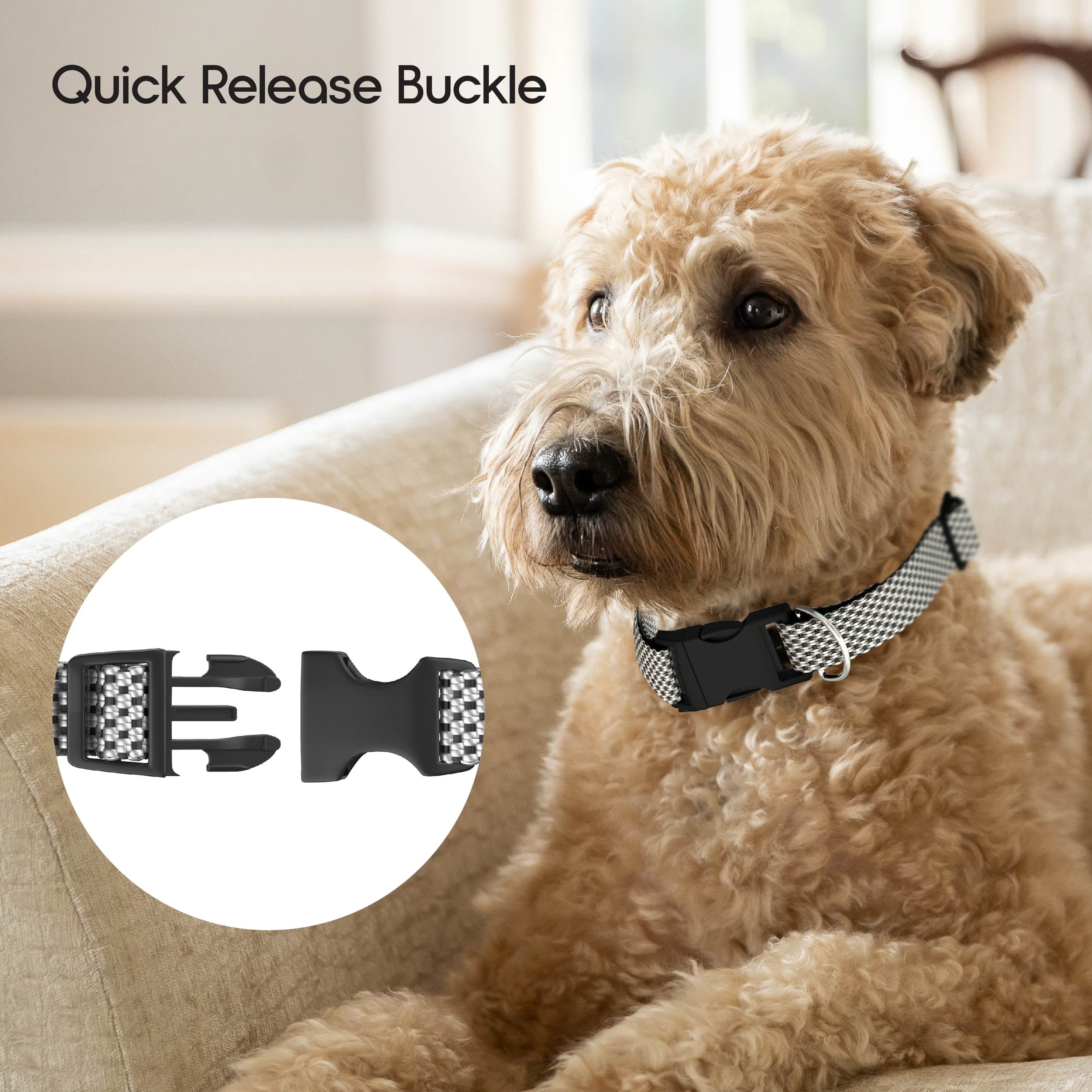 Vibrant Life Woven Padded Dog Collar, Gray, Medium