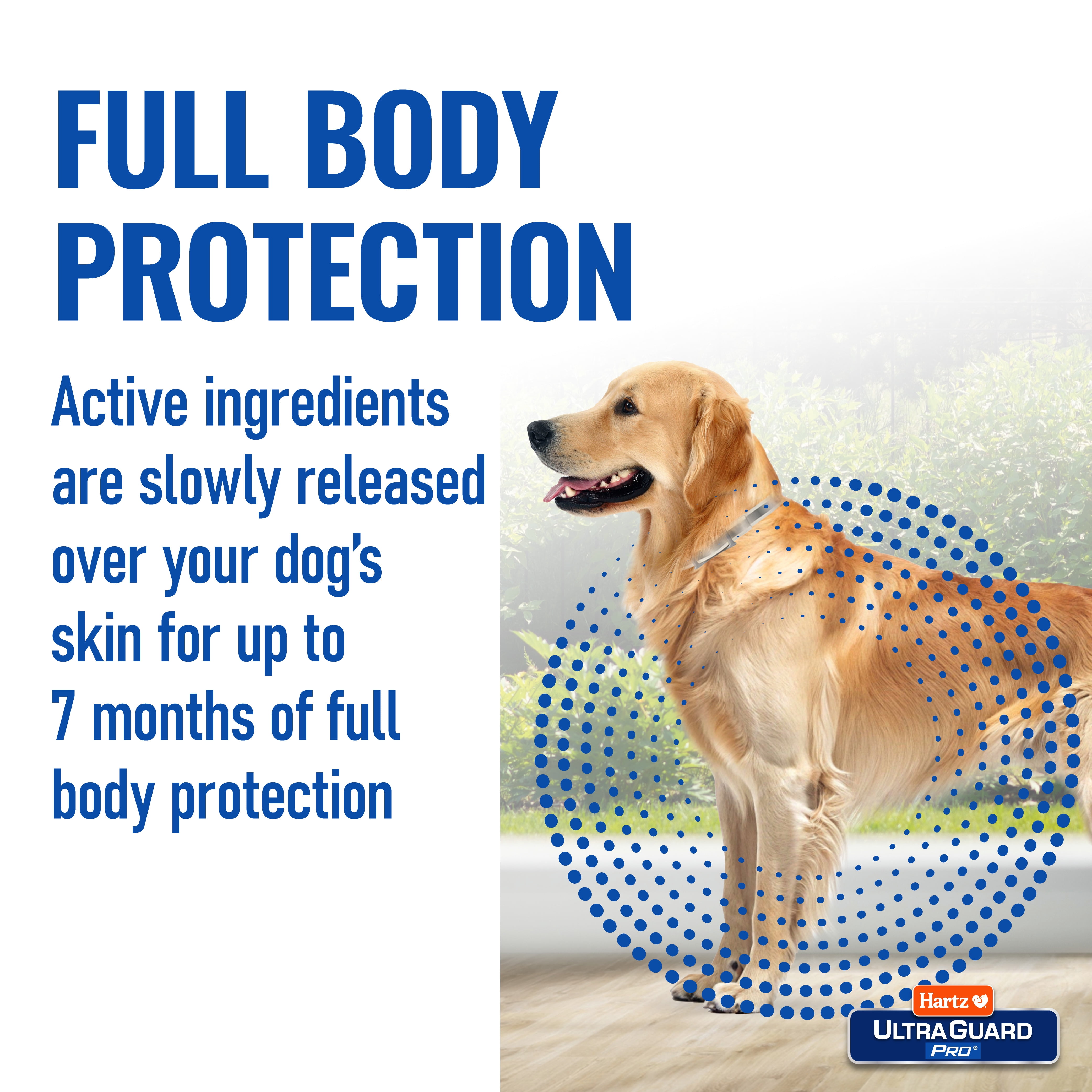 Hartz UltraGuard Pro Reflective Flea & Tick Collar for Dogs and Puppies, 7 Months Protection, 1ct