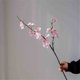 thumbnail image 4 of Jarrón de vidrio transparente con flores artificiales de durazno for decoración de mesa de salón interior., 4 of 5