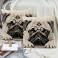 thumbnail image 4 of Uutvery Cute Animals Print Pillow Set of 2, 18x18 Inch Decorative Throw Cover for Sofa Living Room, Soft and Durable Fabric for Bedroom Decor, Playful and Cozy Gift Idea, 4 of 7