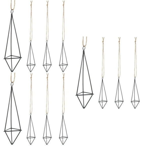 Metal Wall Mount Pineapple Air Plant Stand with 12 Pots Holder for Hanging Flowers and Display Rack