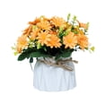 thumbnail image 1 of Guardoinrt PVC Wedding Simulated Silk Daisy Flowers In Beautiful Super Realistic Simulated Pots Suitable For Various Decorations, 1 of 6