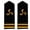 style F, variant on Security Epaulet Shoulder Boards Captain Stripes Epaulettes Accessory