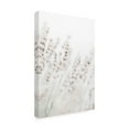 thumbnail image 2 of Trademark Fine Art Pictufy Studio Grass Straws Canvas Wall Art, 2 of 4