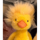 thumbnail image 1 of Adorable Dorit Duckling Plush By Jellycat, 10.24" Cuddly Plush Toy, Friend for Toddlers & Pet Lovers, 1 of 1