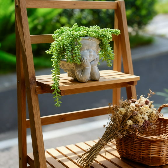 Sprout N Green Donkey's Tail, Live Sedum Morganianum-Burro's Tail, Succulent Plant Fully Rooted in2- 4" Pot, Real House Plant for Indoor Outdoor Home Office Wedding Decoration Party Favor