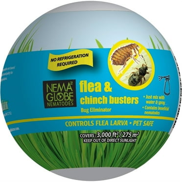 Ecomask - 10 Million Beneficial Nematodes Flea Killer - Easy Spray ...
