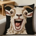 thumbnail image 4 of zhangmingg Decorative Patterned Velvet Pillow Cover Sofa Bed Living Room Soft Insert Not Included, 4 of 4