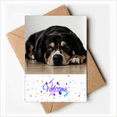 thumbnail image 1 of Dog Pet Animal Photograph Floor Picture Welcome Back Greeting Cards Envelopes Blank, 1 of 3