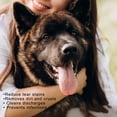 thumbnail image 5 of Buy 2 Get 3! Dog Eye Wipes Dog Eye Wipes Tear Stain Remover Eyes Wipes For Dogs Cats Gently Remove Discharge Debris Tear Wipes For Dog Eyes Face Hypoallergenic 10ml, 5 of 5