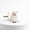 A, variant on Halloween Mini Glowing Resin Figurines Cute Ghost Pumpkin Bear Tombstone Ornaments DIY Decor Accessories for Tiered Tray Car Dashboard