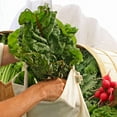 thumbnail image 2 of Simple Ecology Organic Cotton Muslin Reusable Grocery Shopping Produce Bags - X-Small 3 Pack, 2 of 8