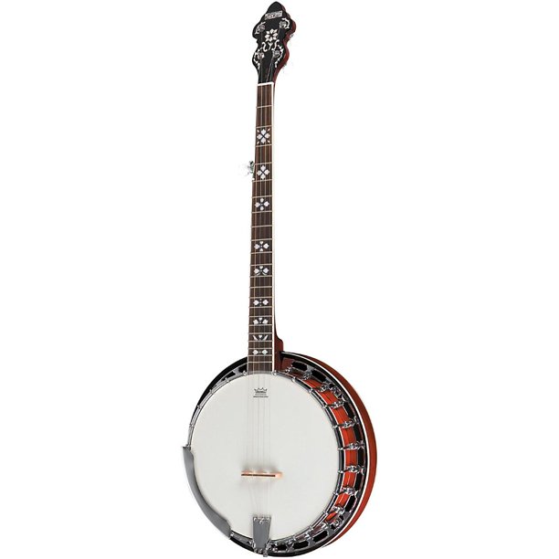 Recording King Songster Professional Resonator 5 String Banjo Rk R20 Walmart Com Walmart Com