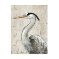 Tim O'Toole 'Grey Heron II' Canvas Art