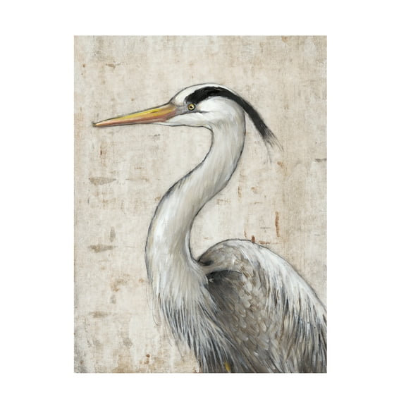 Tim O'Toole 'Grey Heron II' Canvas Art
