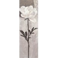 thumbnail image 2 of Stoyanov 13x32 Black Ornate Wood Framed with Double Matting Museum Art Print Titled - Elegant Bloom 1, 2 of 4